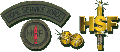 Home Service Force