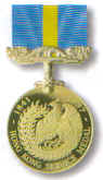 Hong Kong Medal Full Size
